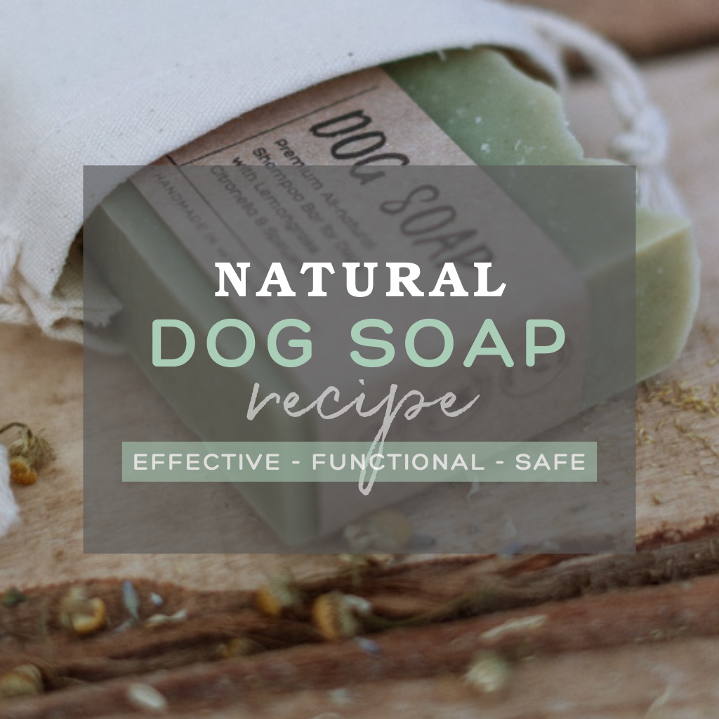 Natural Dog Soap Recipe - Effective / Functional / Safe