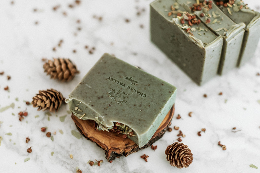 Woodland Spice △ Botanical Soap Bar