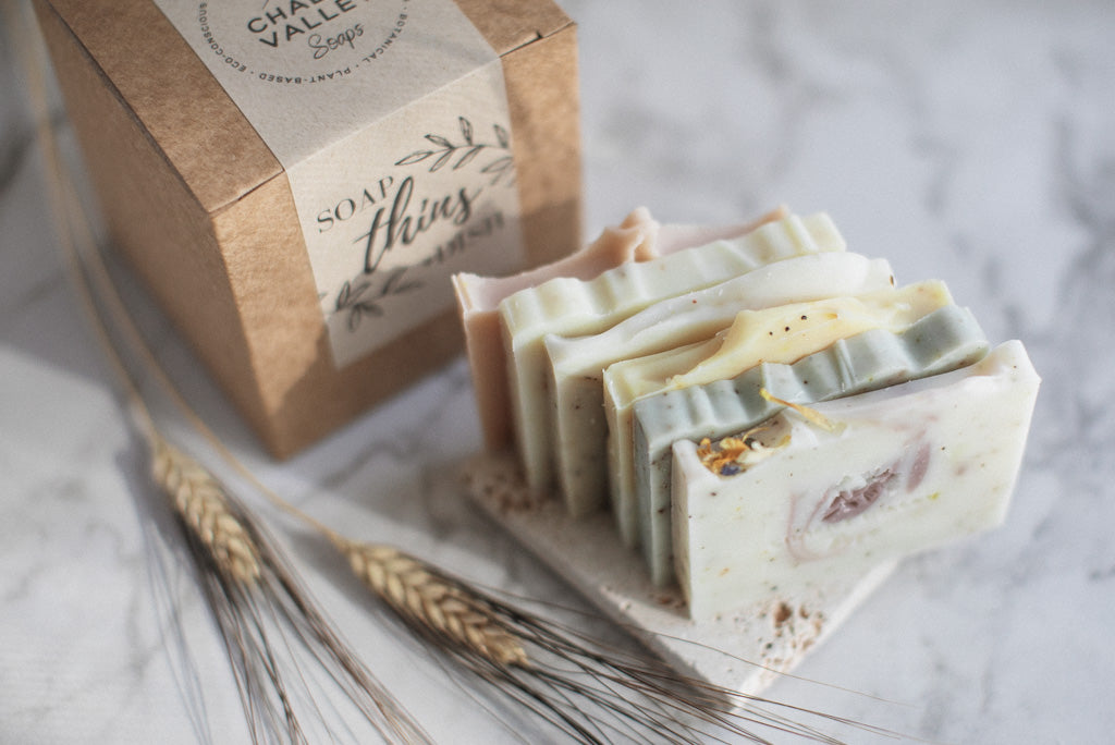 Thins + Dish Gift Set
