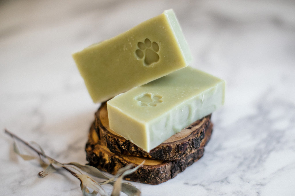 Dog Soap