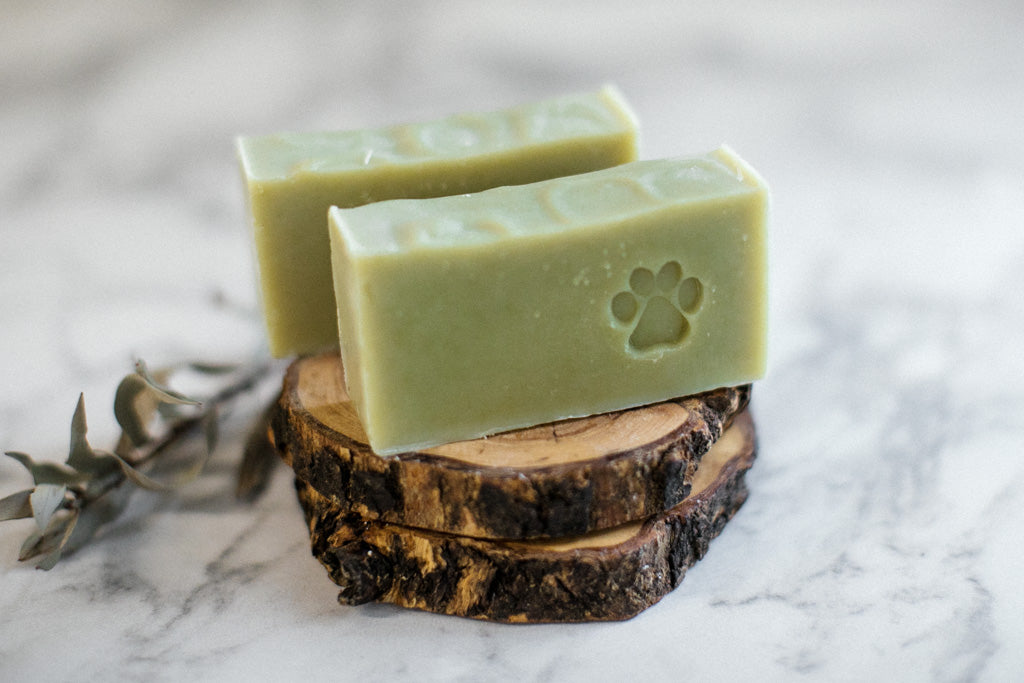 Dog Soap