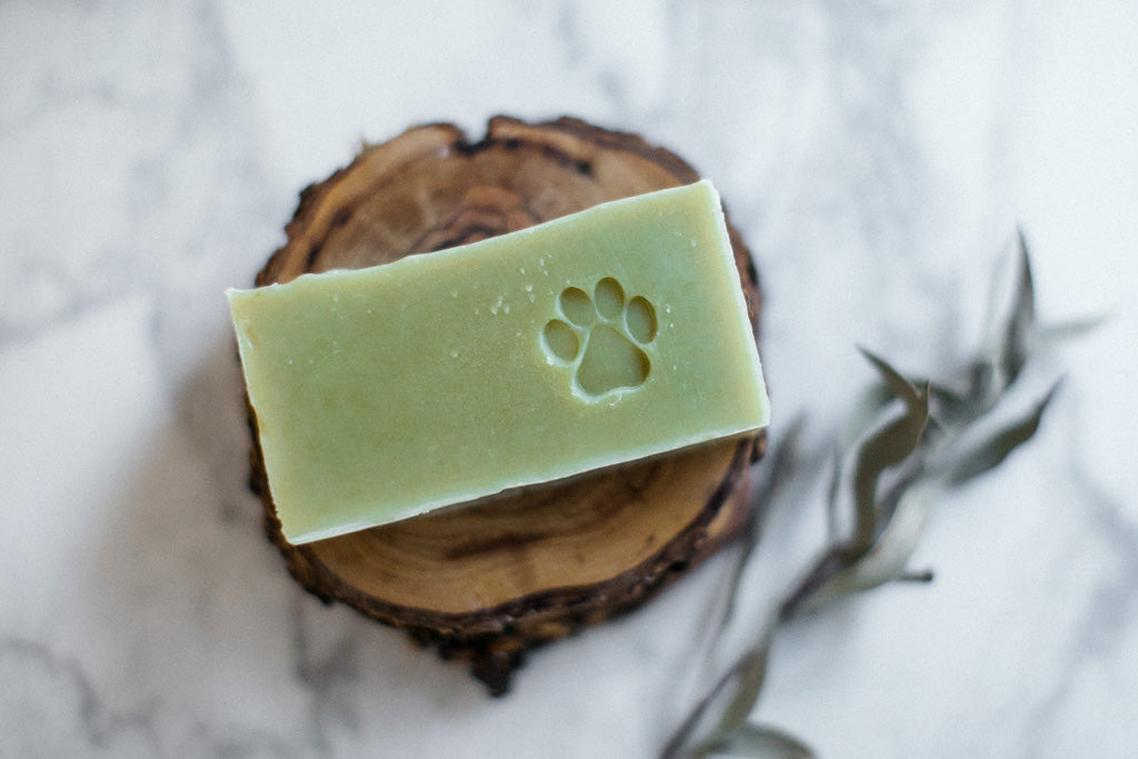 Dog Soap