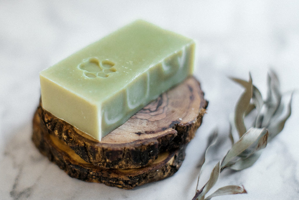 Dog Soap