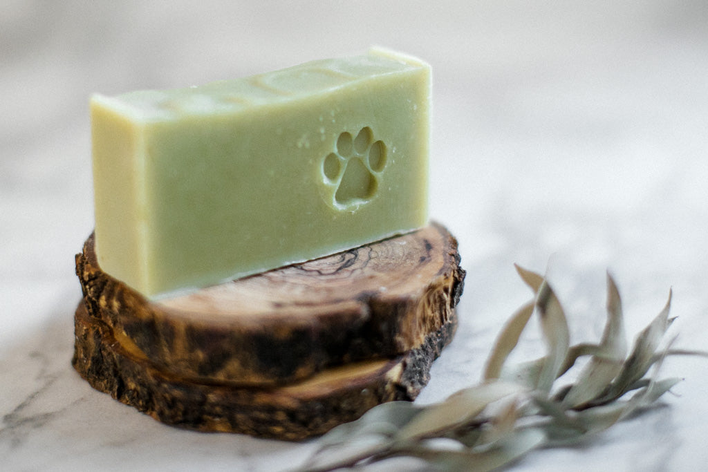 Dog Soap