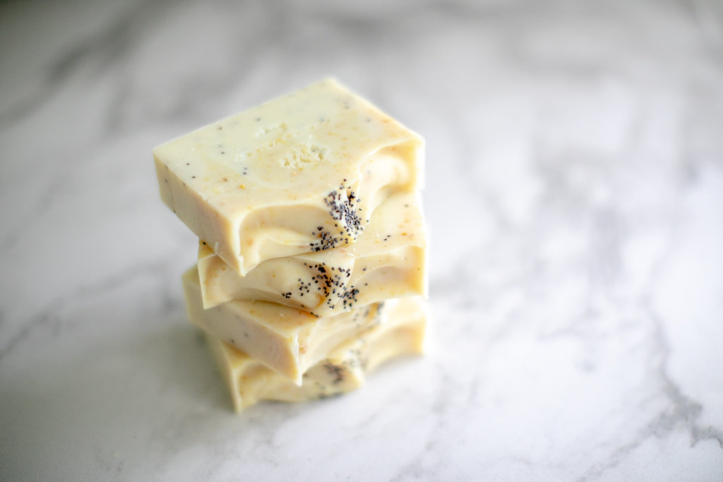 Zesty Scrub ～ Botanical Soap Bar