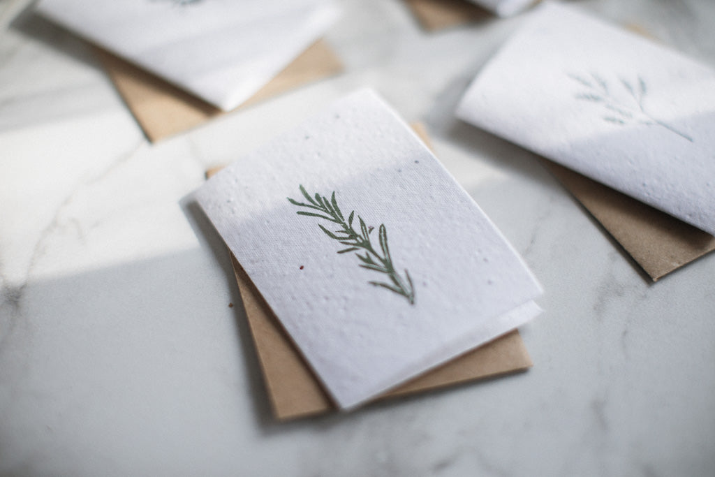 Seed Paper Greeting Cards by Twizzell