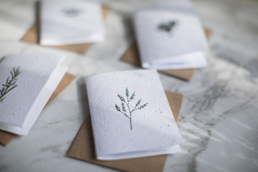 Seed Paper Greeting Cards by Twizzell