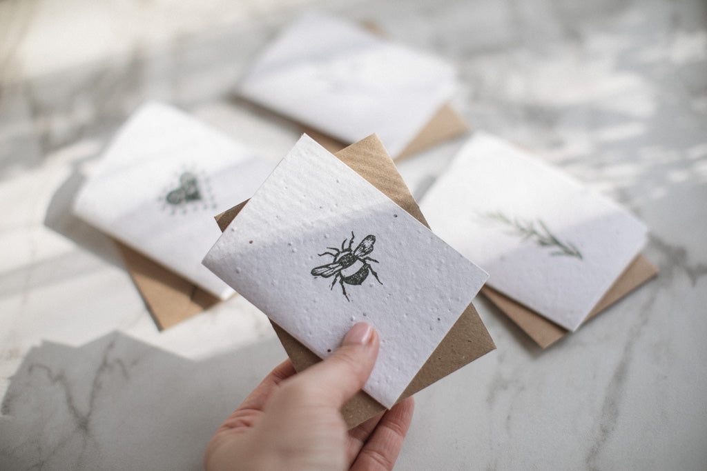 Seed Paper Greeting Cards by Twizzell