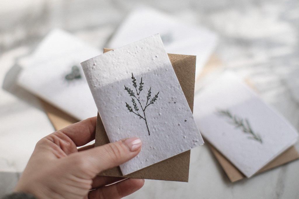 Seed Paper Greeting Cards by Twizzell